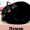 Игра Приключения Пушка на Кухне
